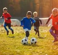 揭秘争议,电讯报深度,剖析,Pg电子官网,Pg电子试玩模拟器APP,PG,game,Pg电子平台