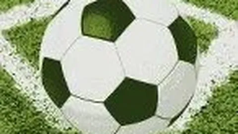 [乒乓球]卡尔松：球员之路至教练巅峰